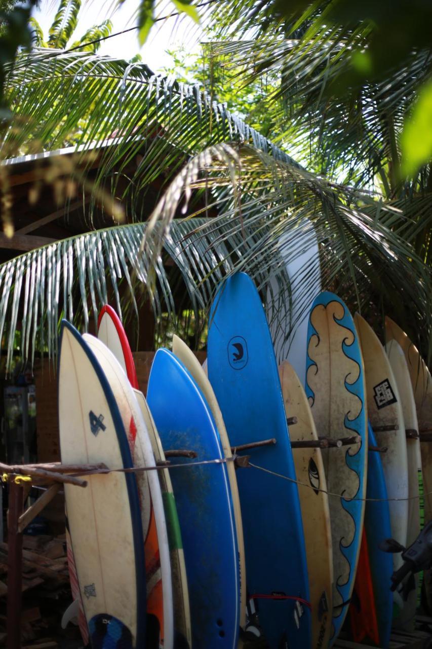 Surfing Wombats Vandrehjem Weligama Eksteriør billede